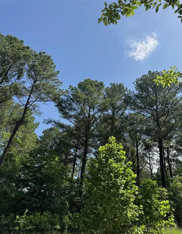 Photo 7 — 87 Blue Maple Trail, Broken Bow, OK 74728