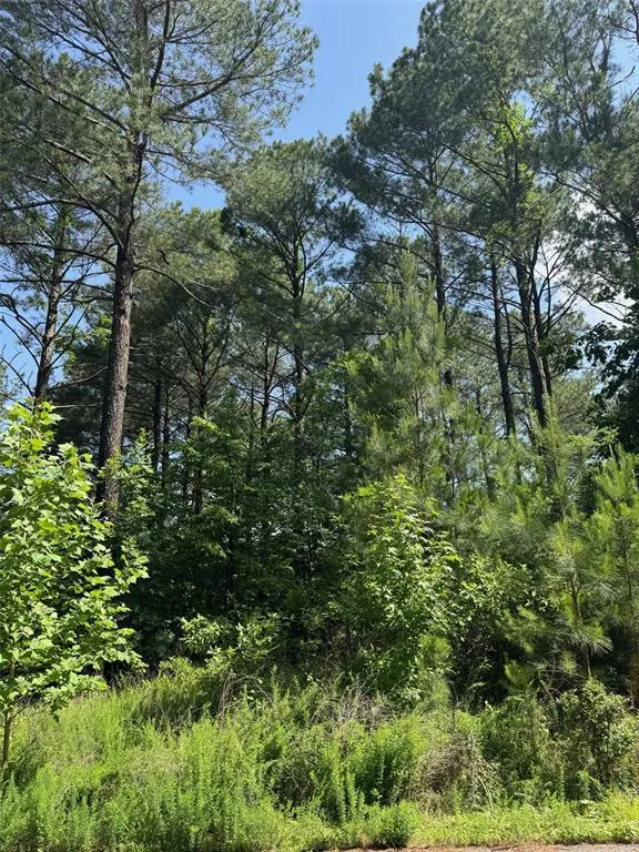 Photo 9 — 87 Blue Maple Trail, Broken Bow, OK 74728