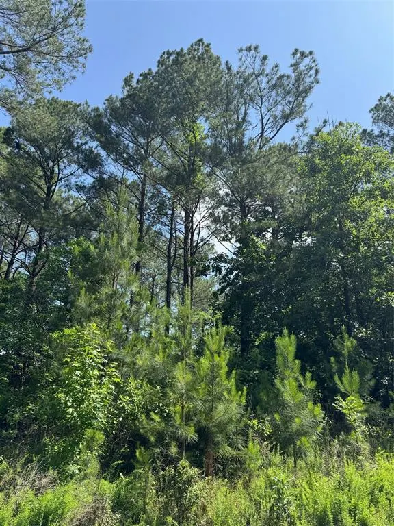 Photo 11 — 87 Blue Maple Trail, Broken Bow, OK 74728