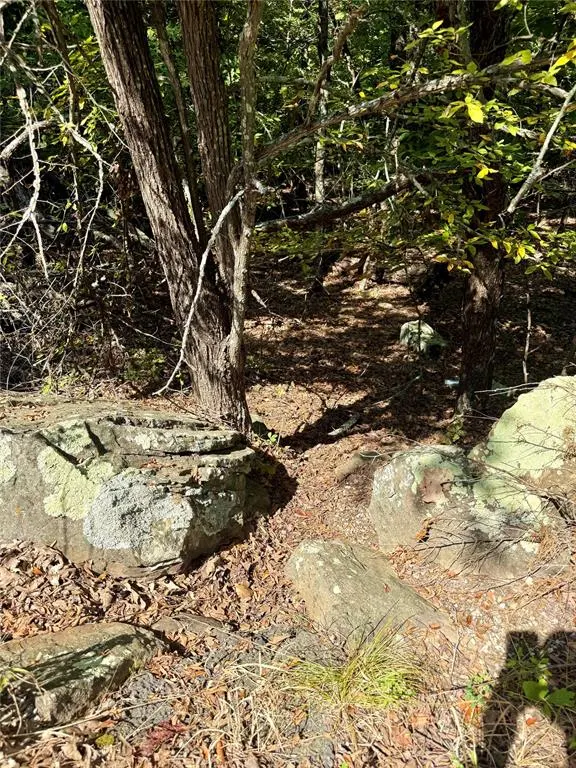 Photo 3 — Marian Lane, Eufaula, OK 74432