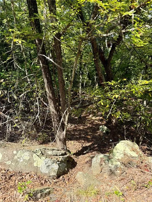 Photo 4 — Marian Lane, Eufaula, OK 74432