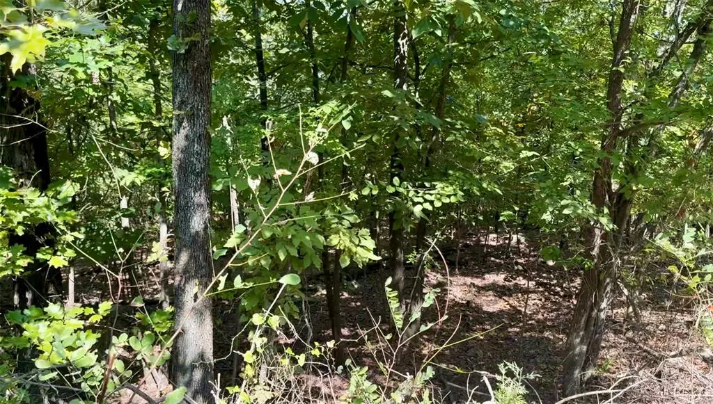 Photo 6 — Marian Lane, Eufaula, OK 74432