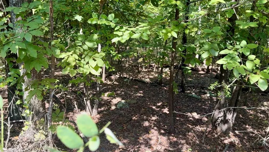 Photo 7 — Marian Lane, Eufaula, OK 74432