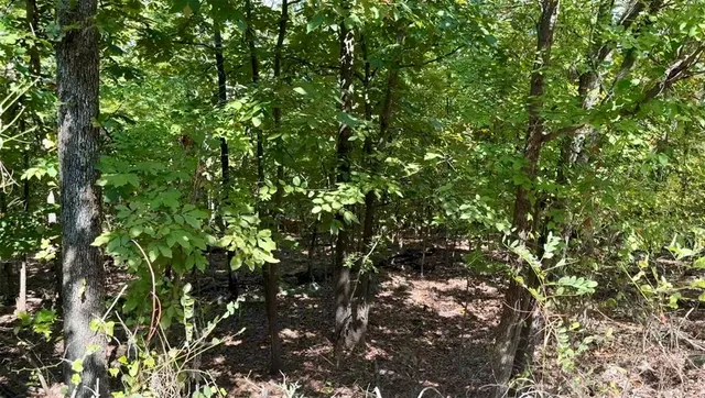 Photo 8 — Marian Lane, Eufaula, OK 74432