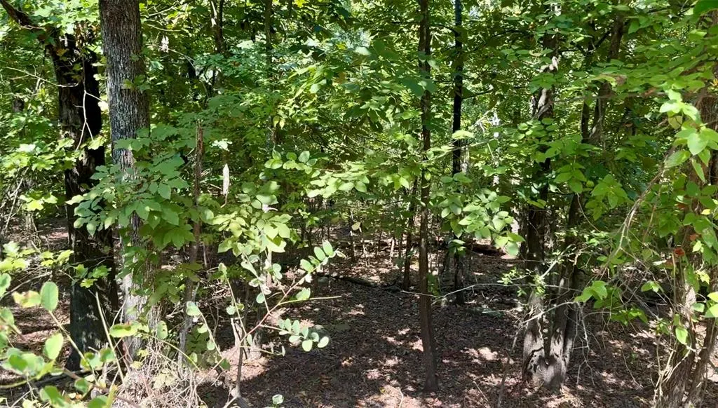 Photo 9 — Marian Lane, Eufaula, OK 74432