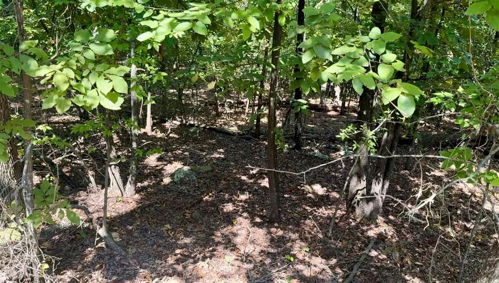 Photo 10 — Marian Lane, Eufaula, OK 74432