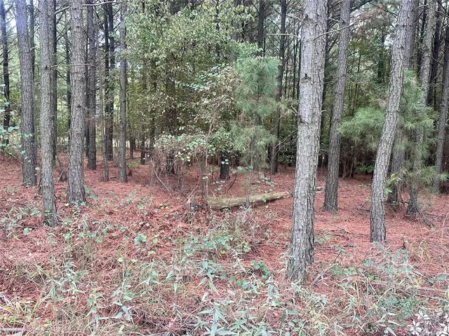 Photo 2 — 552 Timbuktu Trail, Broken Bow, OK 74728