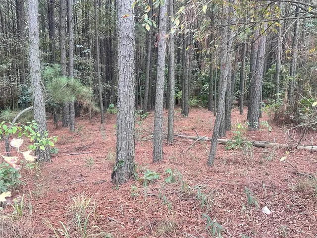 Photo 5 — 552 Timbuktu Trail, Broken Bow, OK 74728