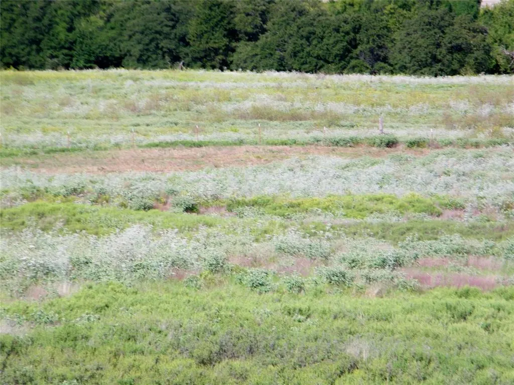 Photo 17 — County Street 2650 / Lot B, Anadarko, OK 73005