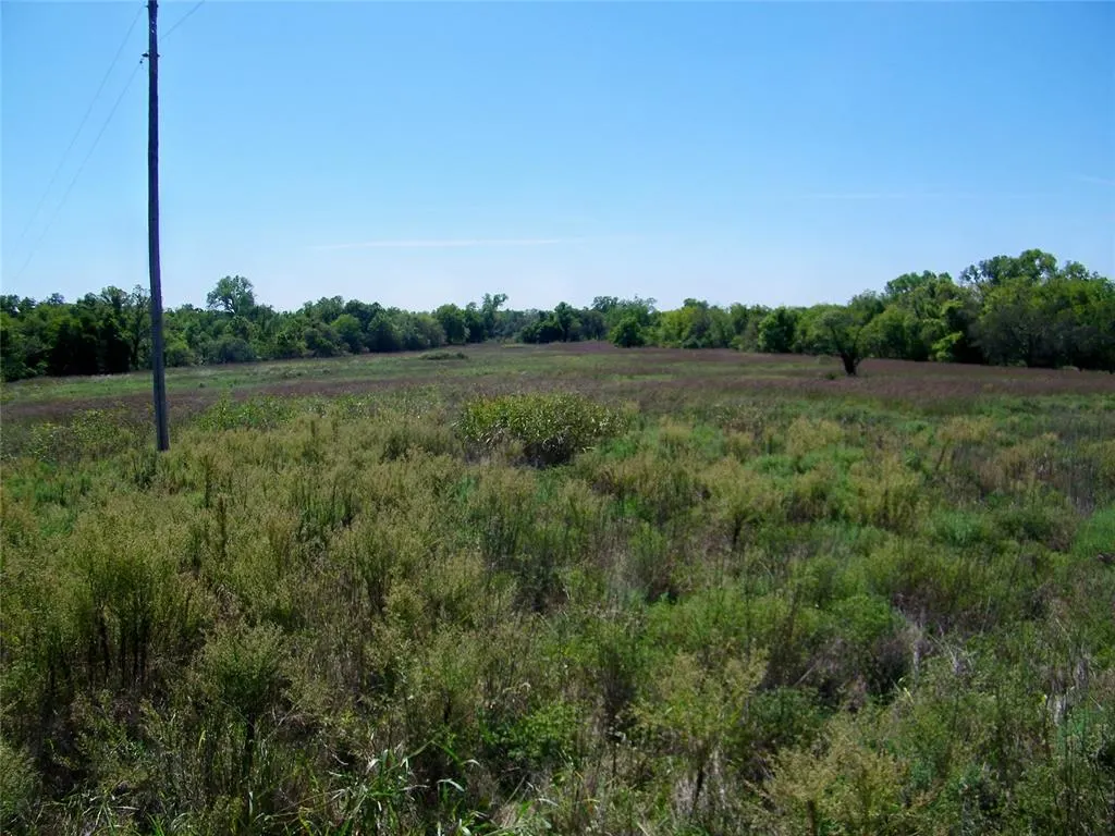 Photo 25 — 2343 County Road 1350, Blanchard, OK 73010