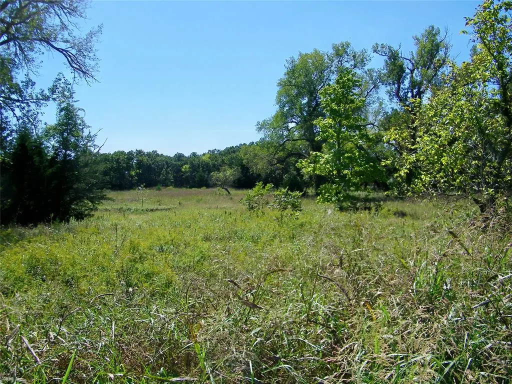 Photo 41 — 2343 County Road 1350, Blanchard, OK 73010