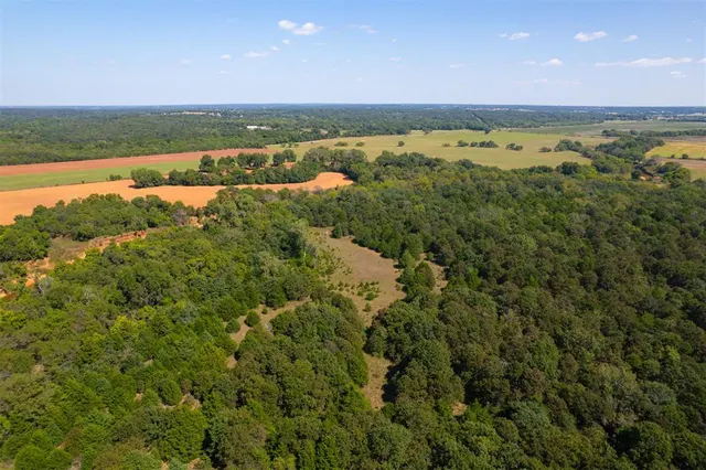 Photo 4 — N. Harrah Rd. & E. Sorghum Mill Rd., Luther, OK 73054