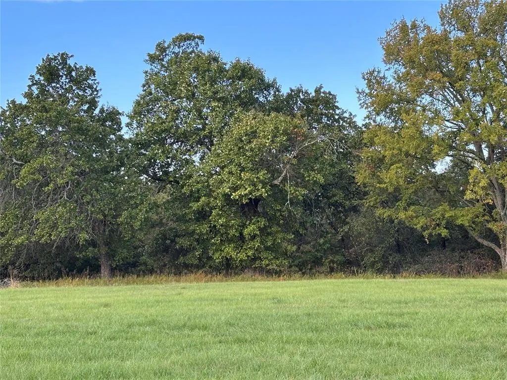 Photo 9 — 1965 Starlight Lane, Bennington, OK 74723