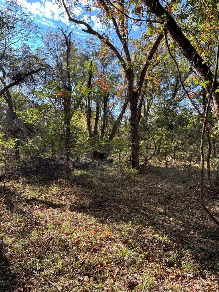 Photo 15 — 1965 Starlight Lane, Bennington, OK 74723