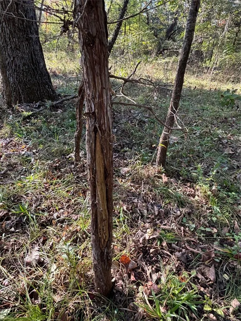Photo 18 — 1965 Starlight Lane, Bennington, OK 74723