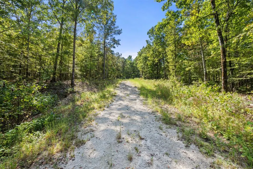 Photo 5 — 47 AJ Cedar Trail, Broken Bow, OK 74728