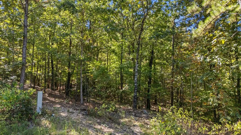 Photo 6 — 47 AJ Cedar Trail, Broken Bow, OK 74728