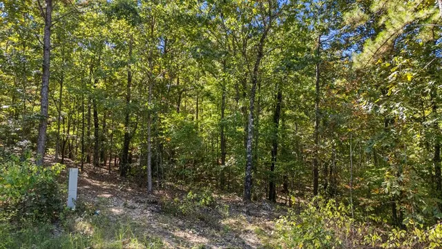 Photo 6 — 47 AJ Cedar Trail, Broken Bow, OK 74728