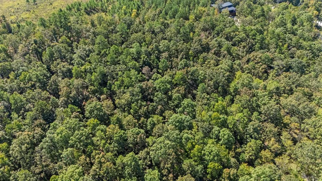 Photo 7 — 47 AJ Cedar Trail, Broken Bow, OK 74728