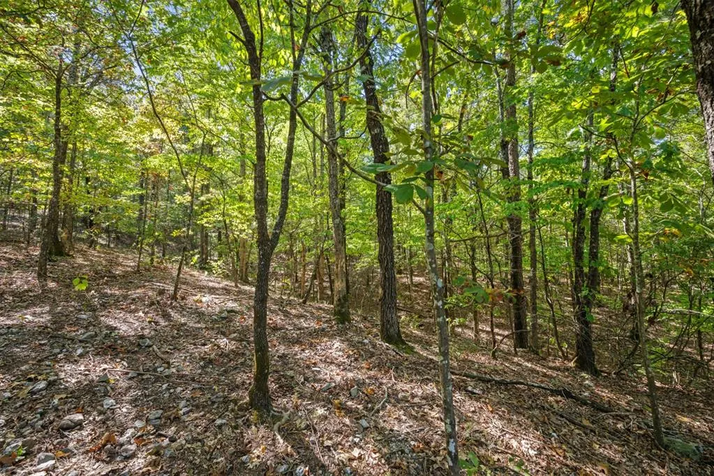 Photo 11 — 47 AJ Cedar Trail, Broken Bow, OK 74728