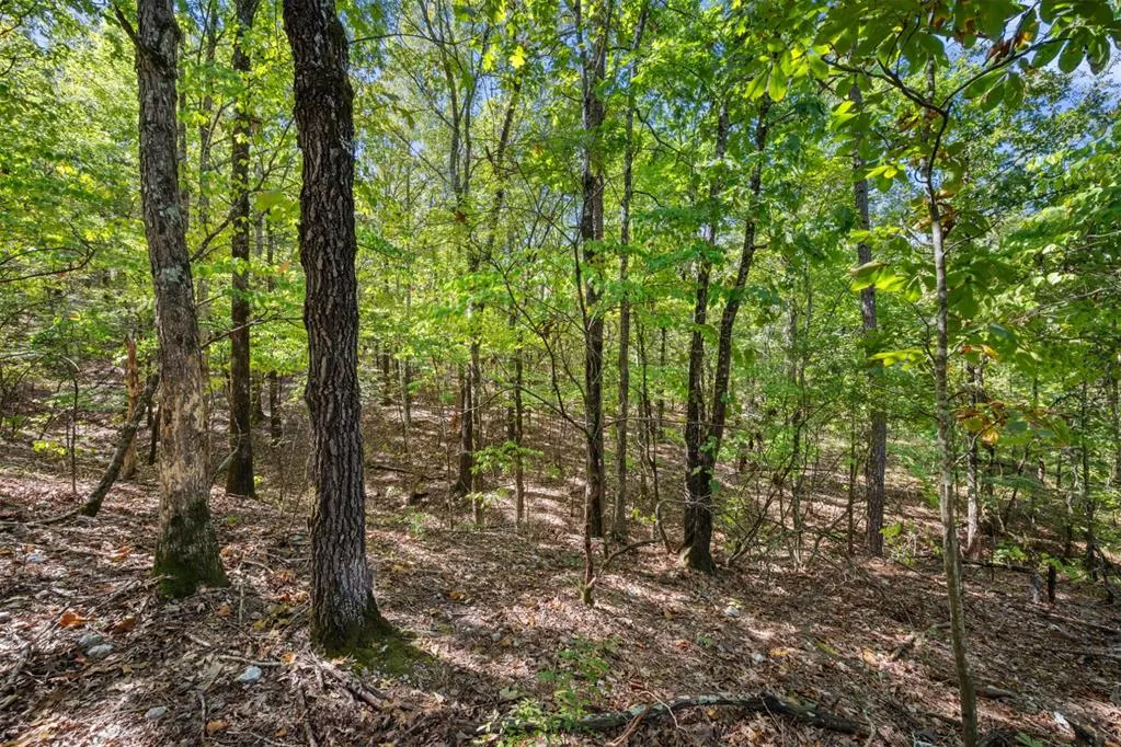 Photo 12 — 47 AJ Cedar Trail, Broken Bow, OK 74728