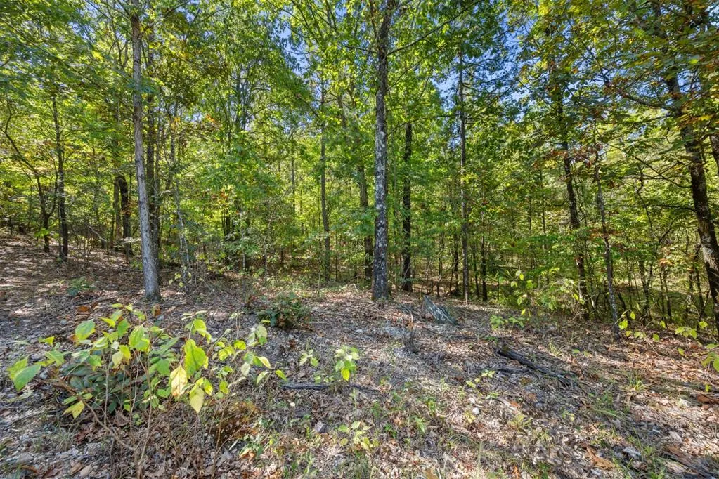 Photo 13 — 47 AJ Cedar Trail, Broken Bow, OK 74728