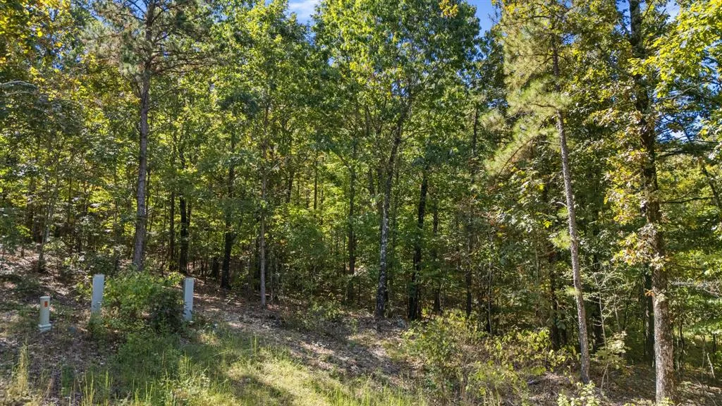 Photo 14 — 47 AJ Cedar Trail, Broken Bow, OK 74728
