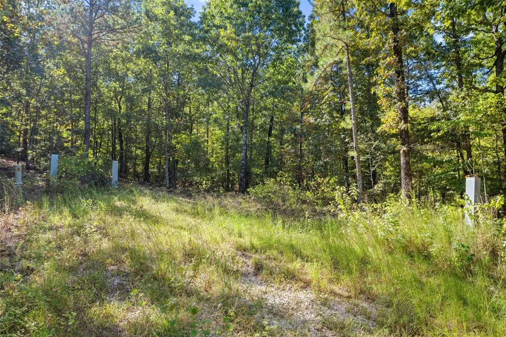 Photo 15 — 47 AJ Cedar Trail, Broken Bow, OK 74728