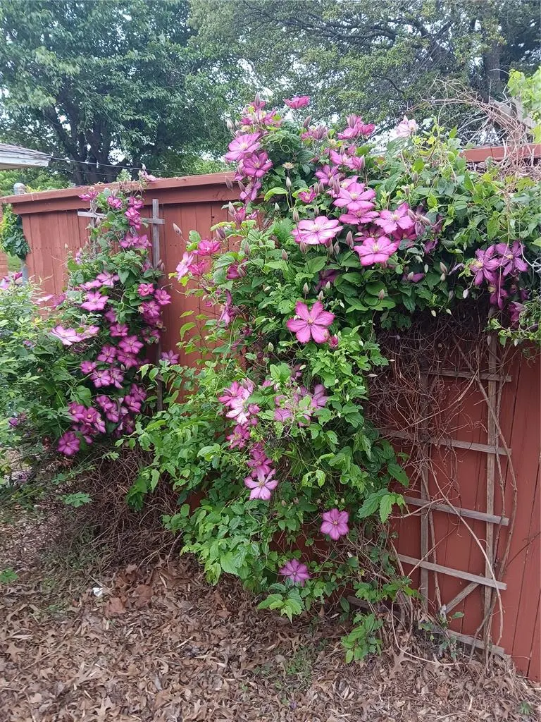 Photo 45 — 2801 S Spruce Avenue, Oklahoma City, OK 73128