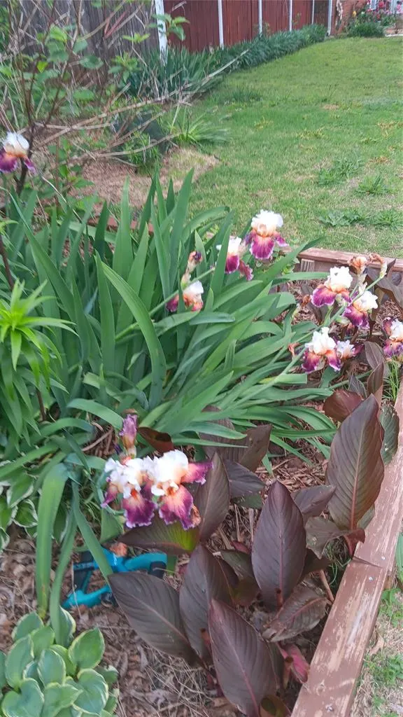 Photo 48 — 2801 S Spruce Avenue, Oklahoma City, OK 73128