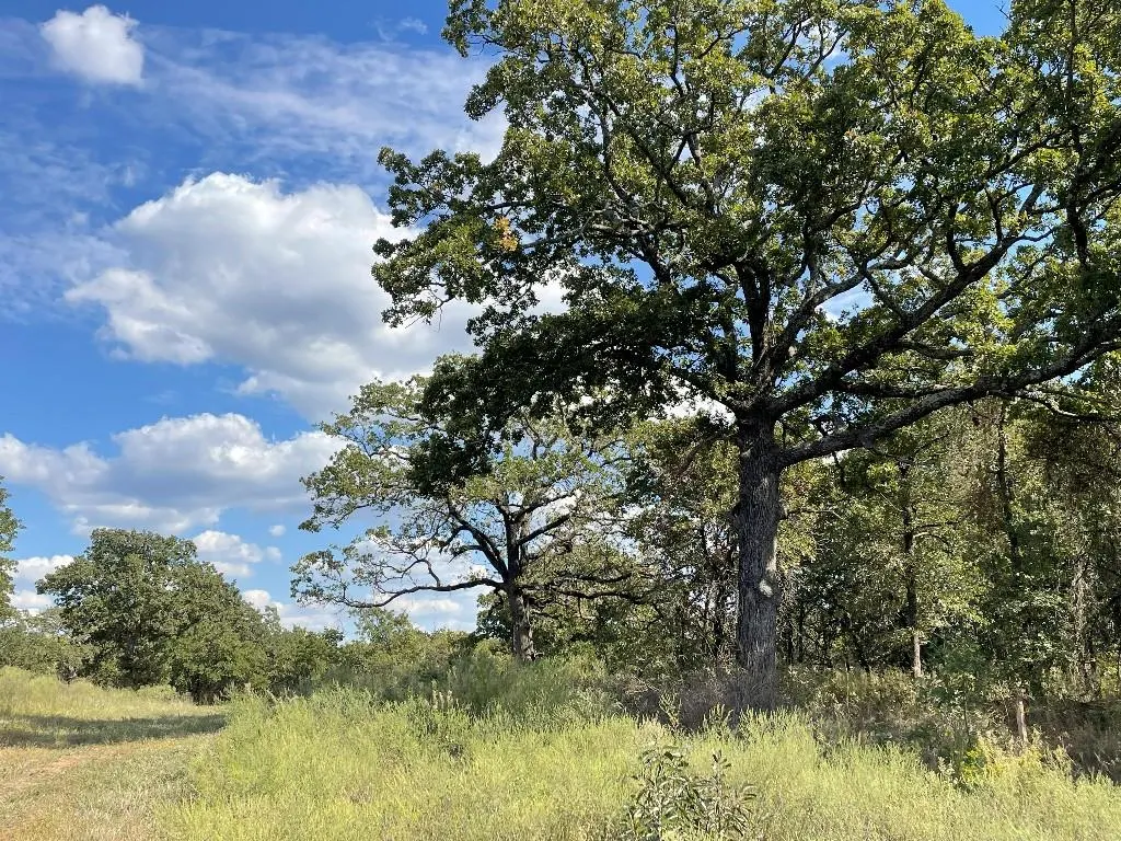 Photo 3 — 5402 Oak Hill Ranch Road, Noble, OK 73068