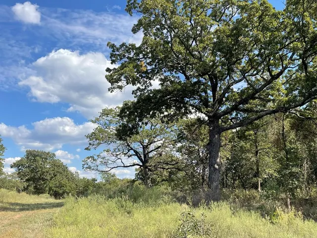Photo 3 — 5402 Oak Hill Ranch Road, Noble, OK 73068
