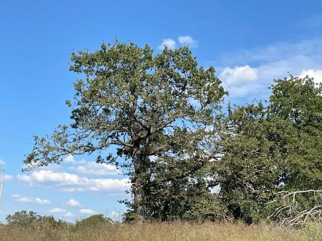 Photo 4 — 5402 Oak Hill Ranch Road, Noble, OK 73068