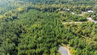 Sold home at 250 Southern Spruce Trail