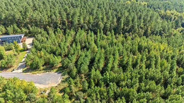 Photo 3 — 250 Southern Spruce Trail, Broken Bow, OK 74728