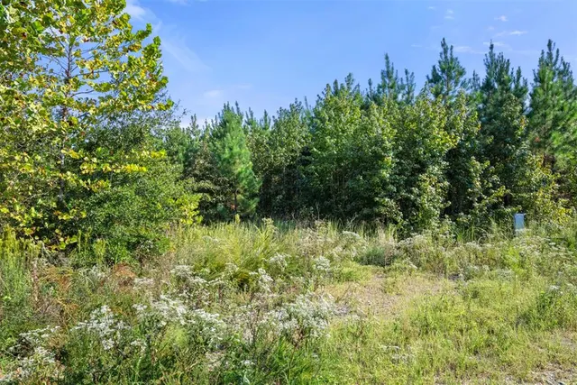 Photo 3 — 50 S Holland Trail, Broken Bow, OK 74728