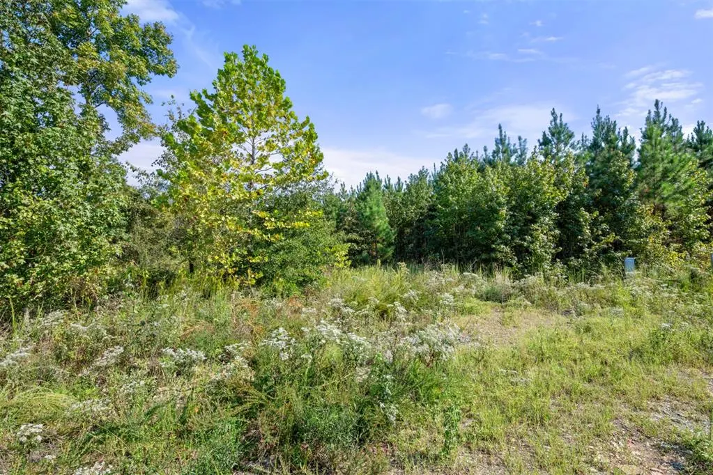 Photo 4 — 50 S Holland Trail, Broken Bow, OK 74728