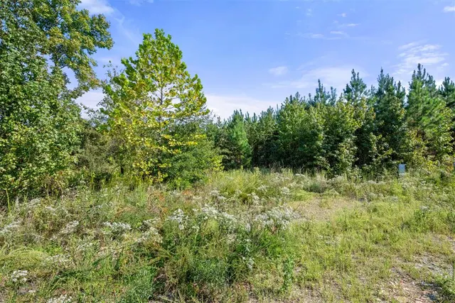 Photo 4 — 50 S Holland Trail, Broken Bow, OK 74728