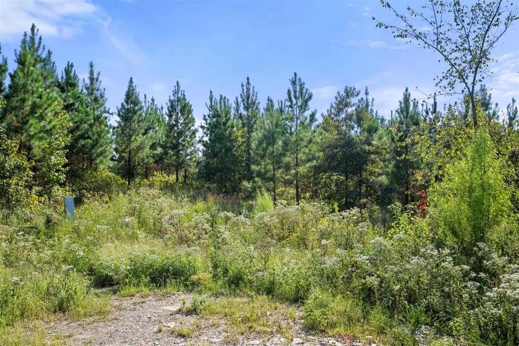 Photo 3 — 51 S Holland Trail, Broken Bow, OK 74728