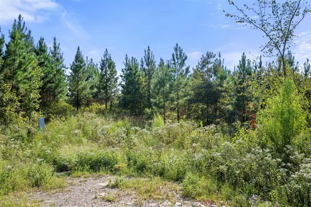 Photo 3 — 51 S Holland Trail, Broken Bow, OK 74728