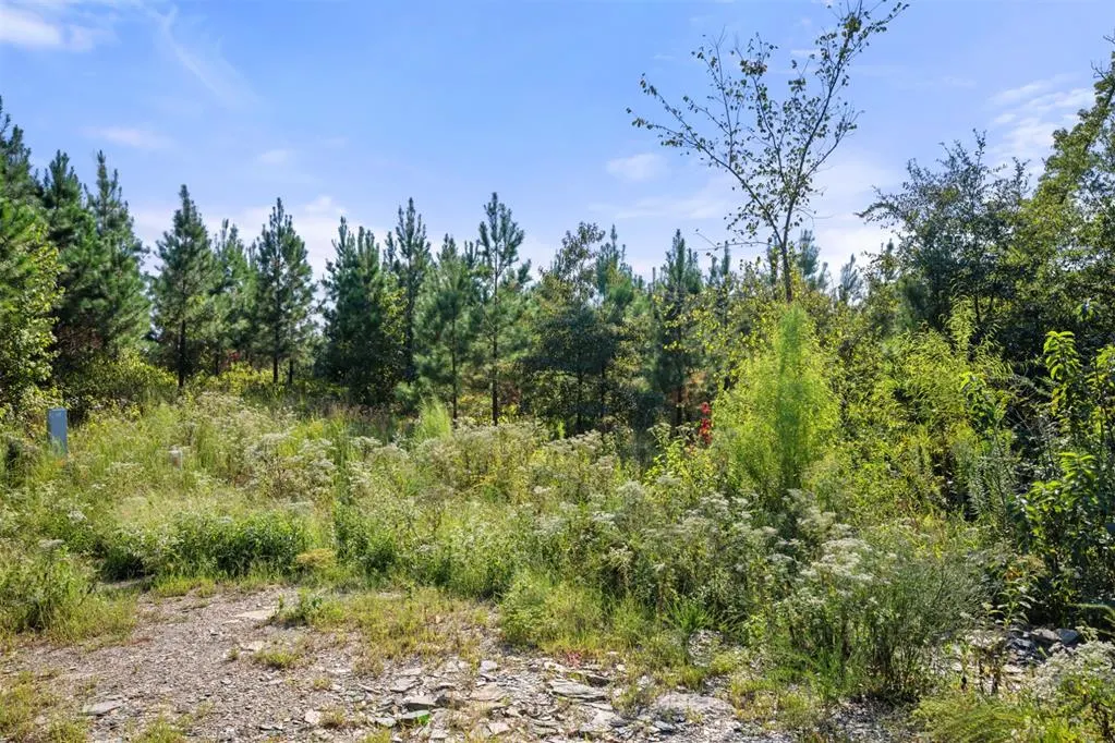 Photo 4 — 51 S Holland Trail, Broken Bow, OK 74728