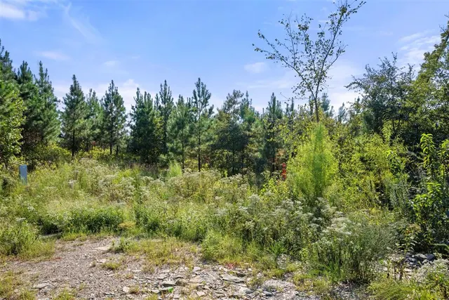Photo 4 — 51 S Holland Trail, Broken Bow, OK 74728