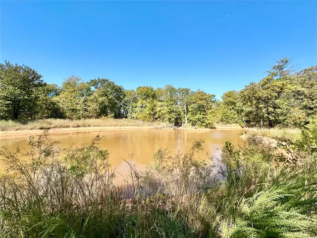 Photo 3 — 31232 Coker Road, Macomb, OK 74852