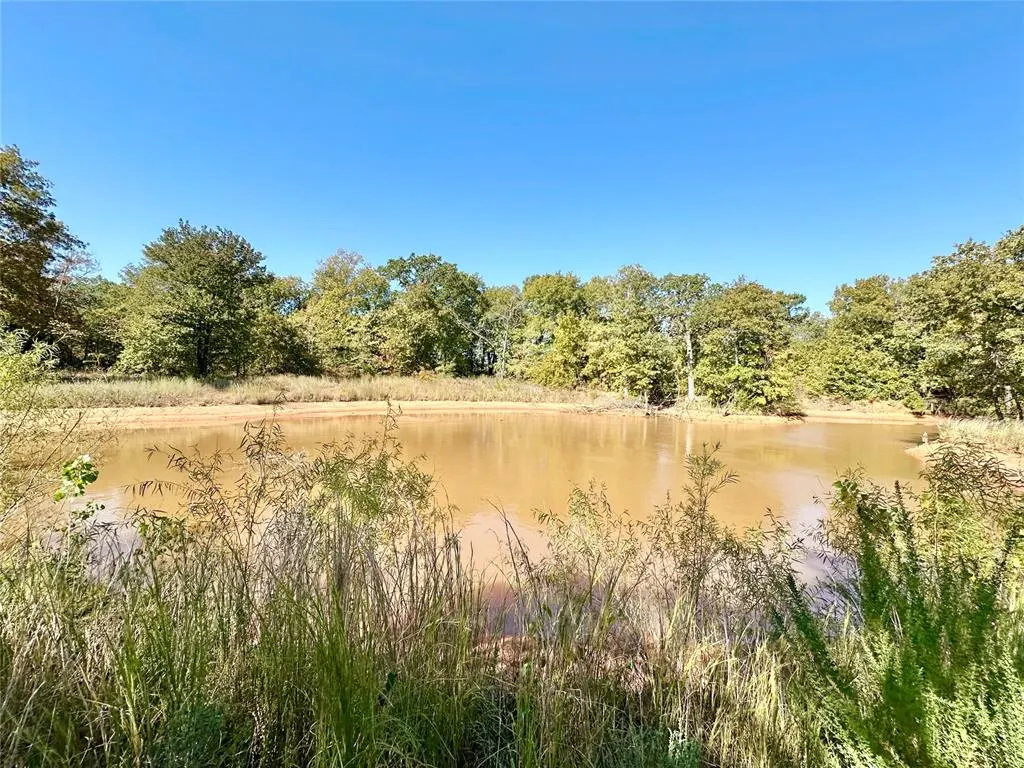 Photo 7 — 31232 Coker Road, Macomb, OK 74852