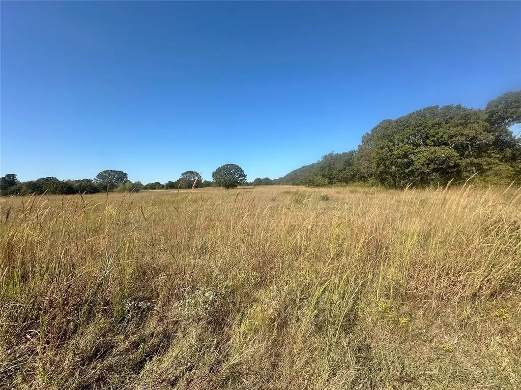 Photo 22 — 31232 Coker Road, Macomb, OK 74852