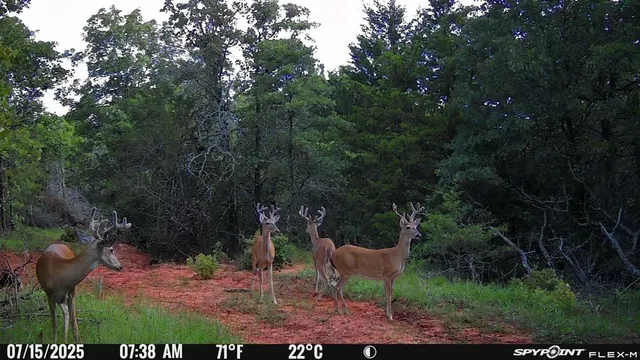 Photo 7 — Lot A - Williams Road, Tribbey, OK 74878