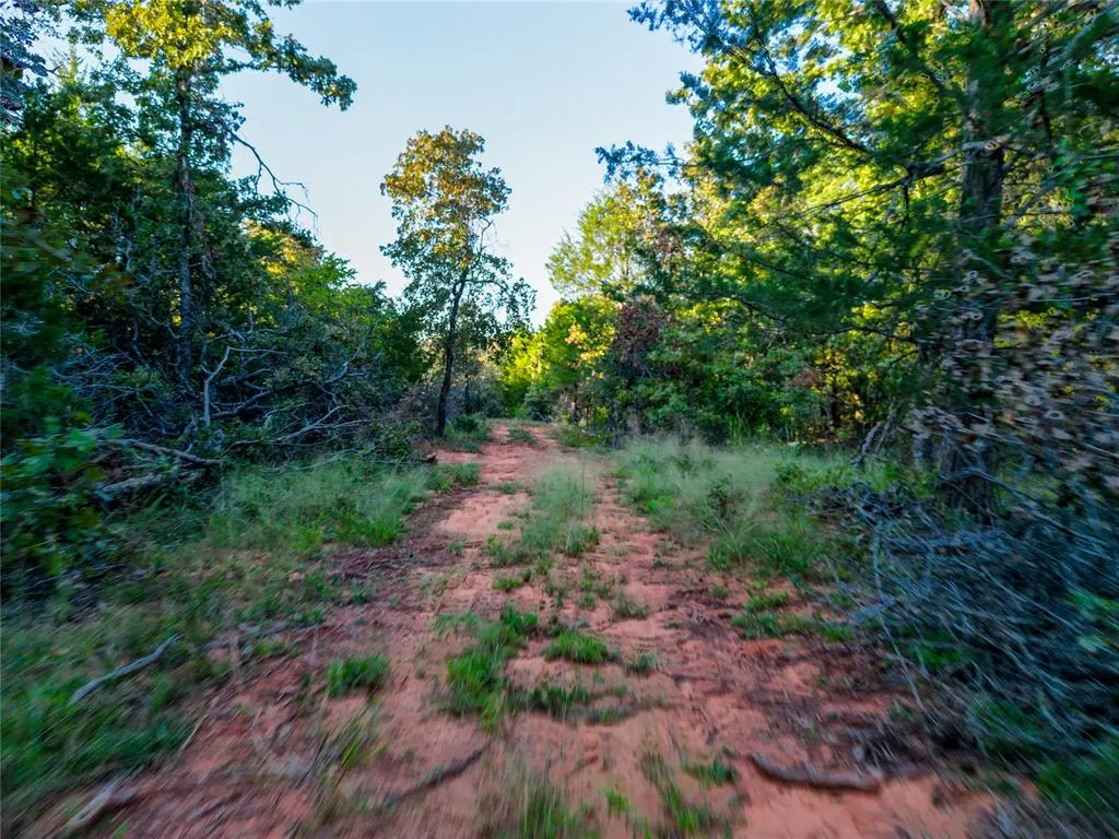 Photo 5 — Lot A - Williams Road, Tribbey, OK 74878