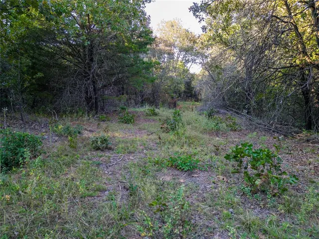 Photo 8 — Lot A - Williams Road, Tribbey, OK 74878