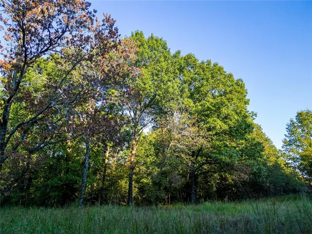 Photo 2 — Lot B - Williams Road, Tribbey, OK 74878