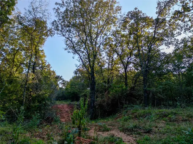 Photo 5 — Lot B - Williams Road, Tribbey, OK 74878